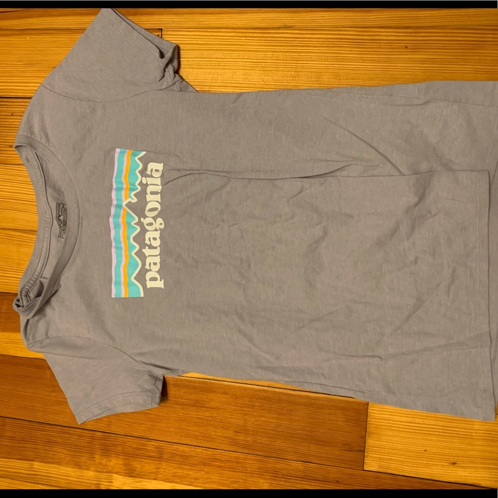 patagonia tee